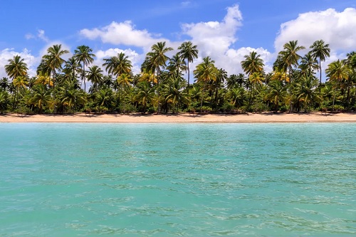 Traslado Aeroporto de Recife / Hotéis em Porto de Galinhas / Aeroporto de Recife