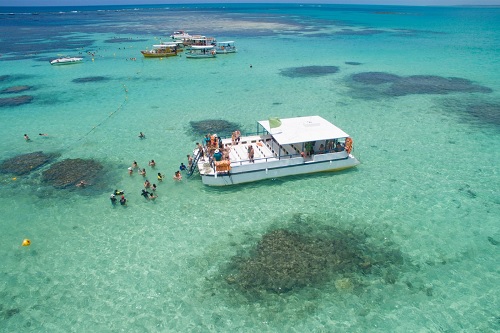 Black Friday: GANHE UM PASSEIO na compra do pacote Transfer IN+OUT Porto de Galinhas + dois passeios a escolher