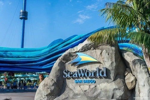 Black Friday SeaWorld San Diego Ingresso de 2 dias 